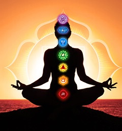 YOGA DIPLOMA COURSES